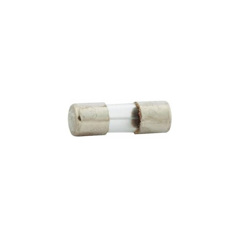 Glass fuse SFE6 (19,2mm)