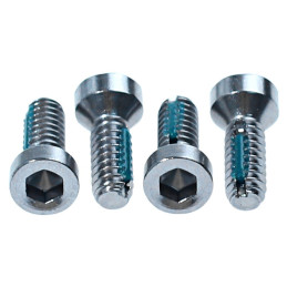 Inside Door Handle & Window Crank Screws (4 pcs) Stainless 65-66