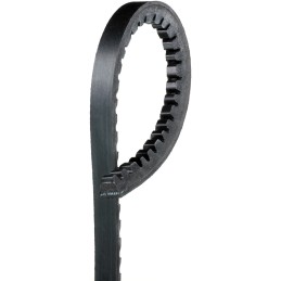 V-Belt 11 x 1000 / 0.44 x 39.5" 64-73