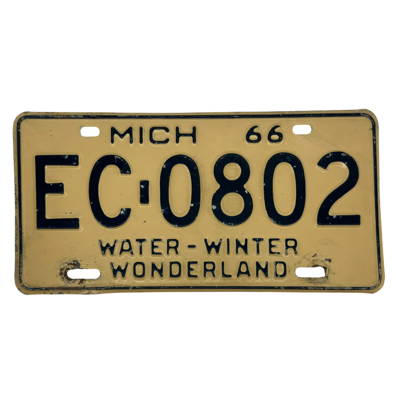 Michigan poznávací značka