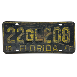 Florida poznávací značka