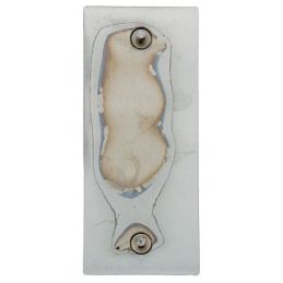 Emblém blatníku GT500, zadní pás Eleanor 67