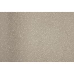 65-68 KUPÉ HEADLINER BÍLÁ