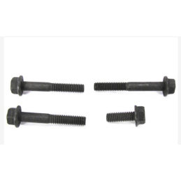 Sada montážních šroubů krytu rozvodového mechanismu, černá 69-71 429