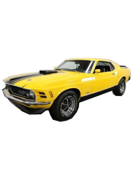Model 1970